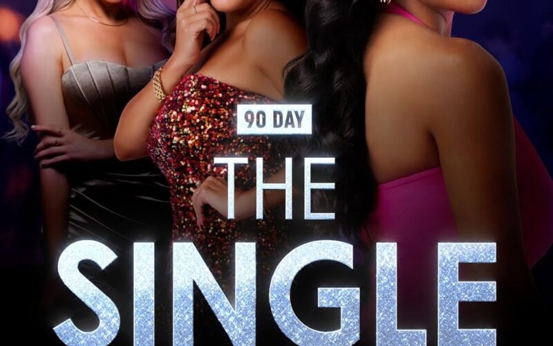 90 Day The Single Life TV Series 2021 Episode List IMDb