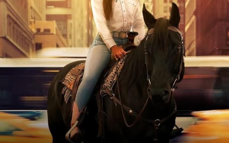 Beyond Black Beauty TV Series 2024 IMDb