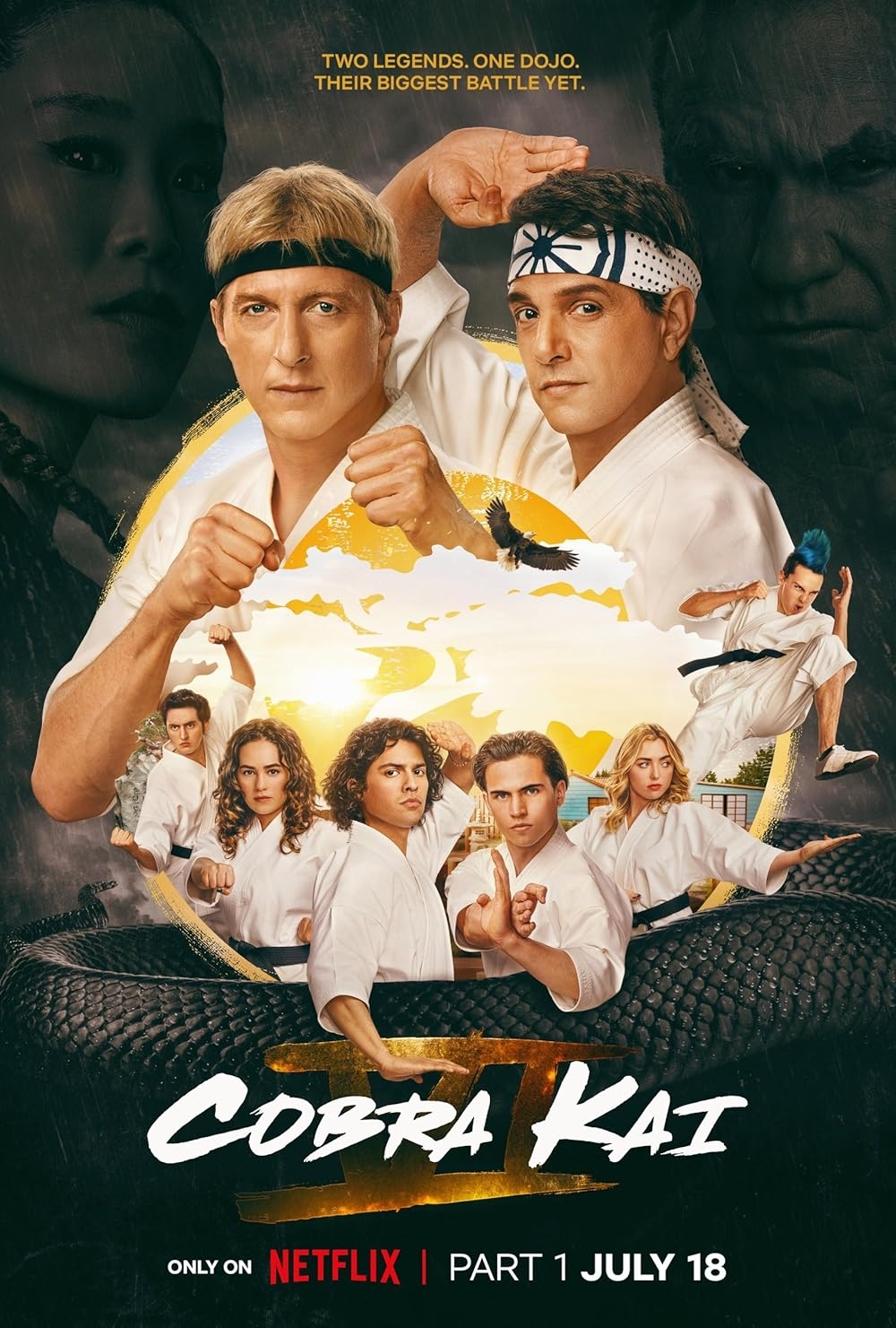 cobra kai season 5 dvd release date