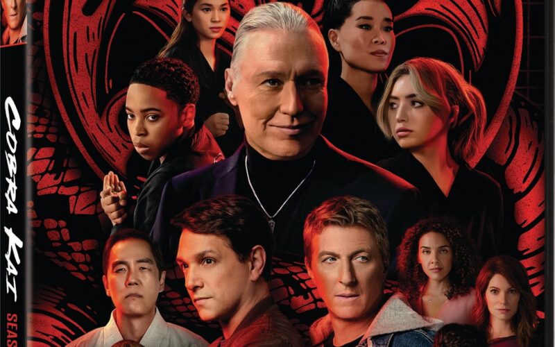 Cobra Kai Season 5 DVD Walmart Business Supplies