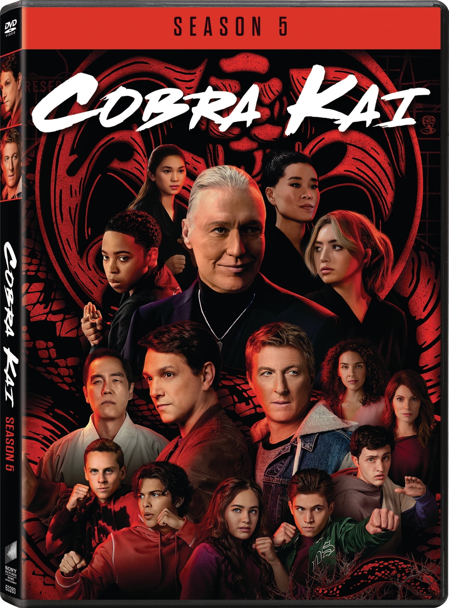 Cobra Kai Season 5 DVD Walmart Business Supplies