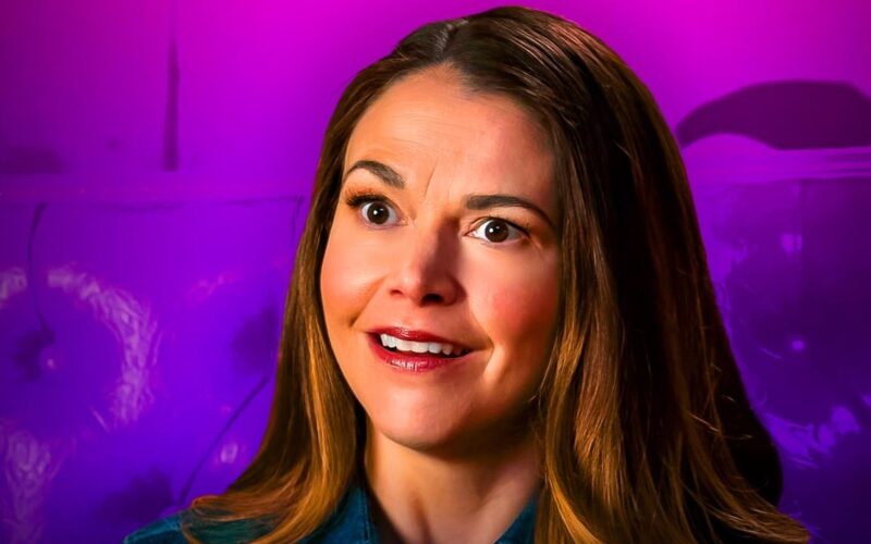 Here s Why Younger Season 8 Is Unlikely To Ever Get Made