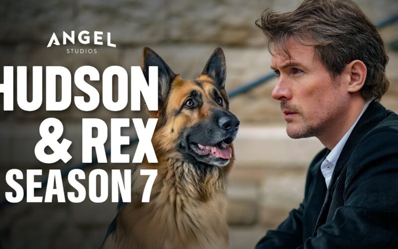 Hudson Rex Season 7 Release Date Trailer All The Details YouTube