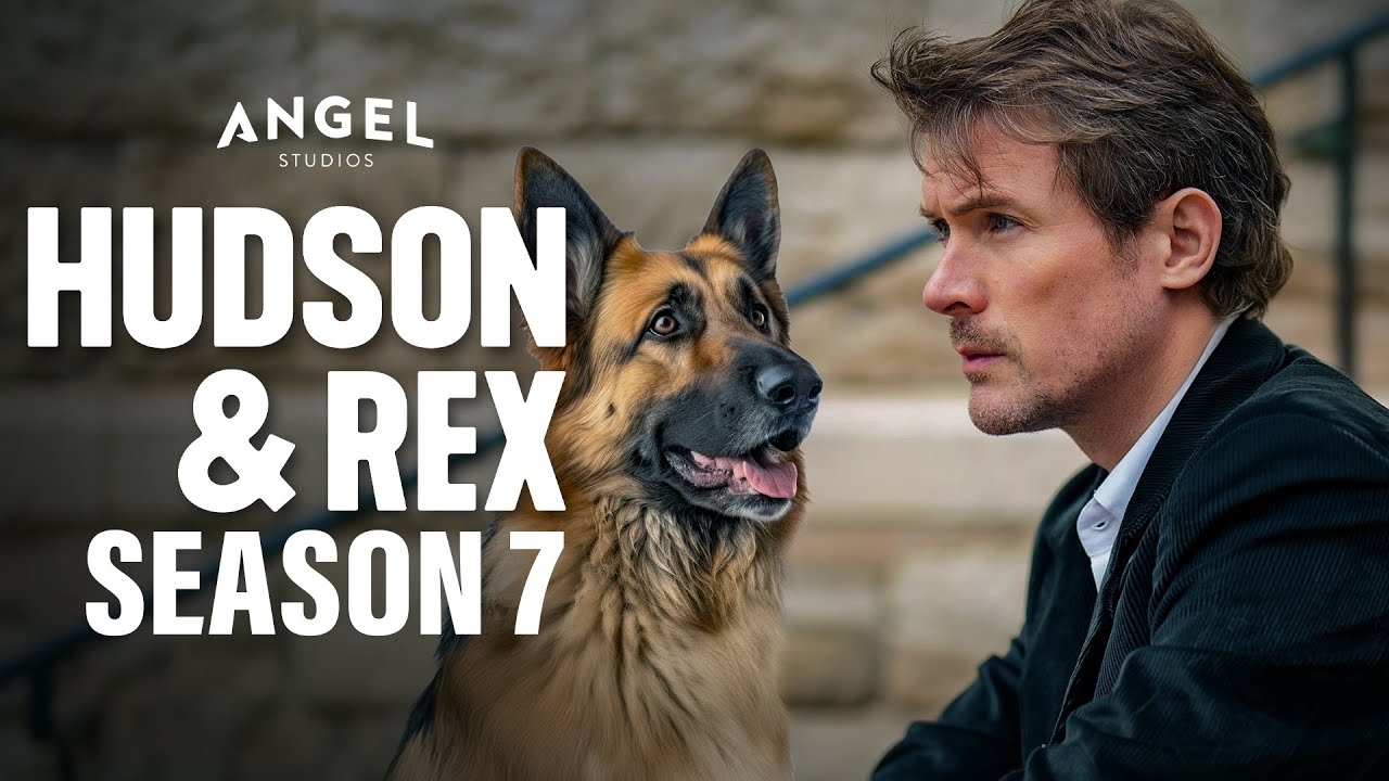 Hudson Rex Season 7 Release Date Trailer All The Details YouTube Hudson Rex Season 7 Release Date Trailer All The Details YouTube