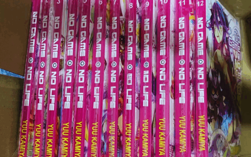 No Game No Life Light Novel Full Set Volume 1 12 By Yuu Kamiya English Version EBay