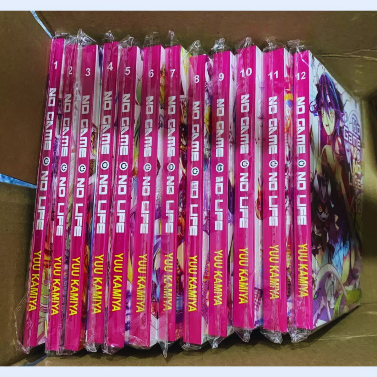 No Game No Life Light Novel Full Set Volume 1 12 By Yuu Kamiya English Version EBay