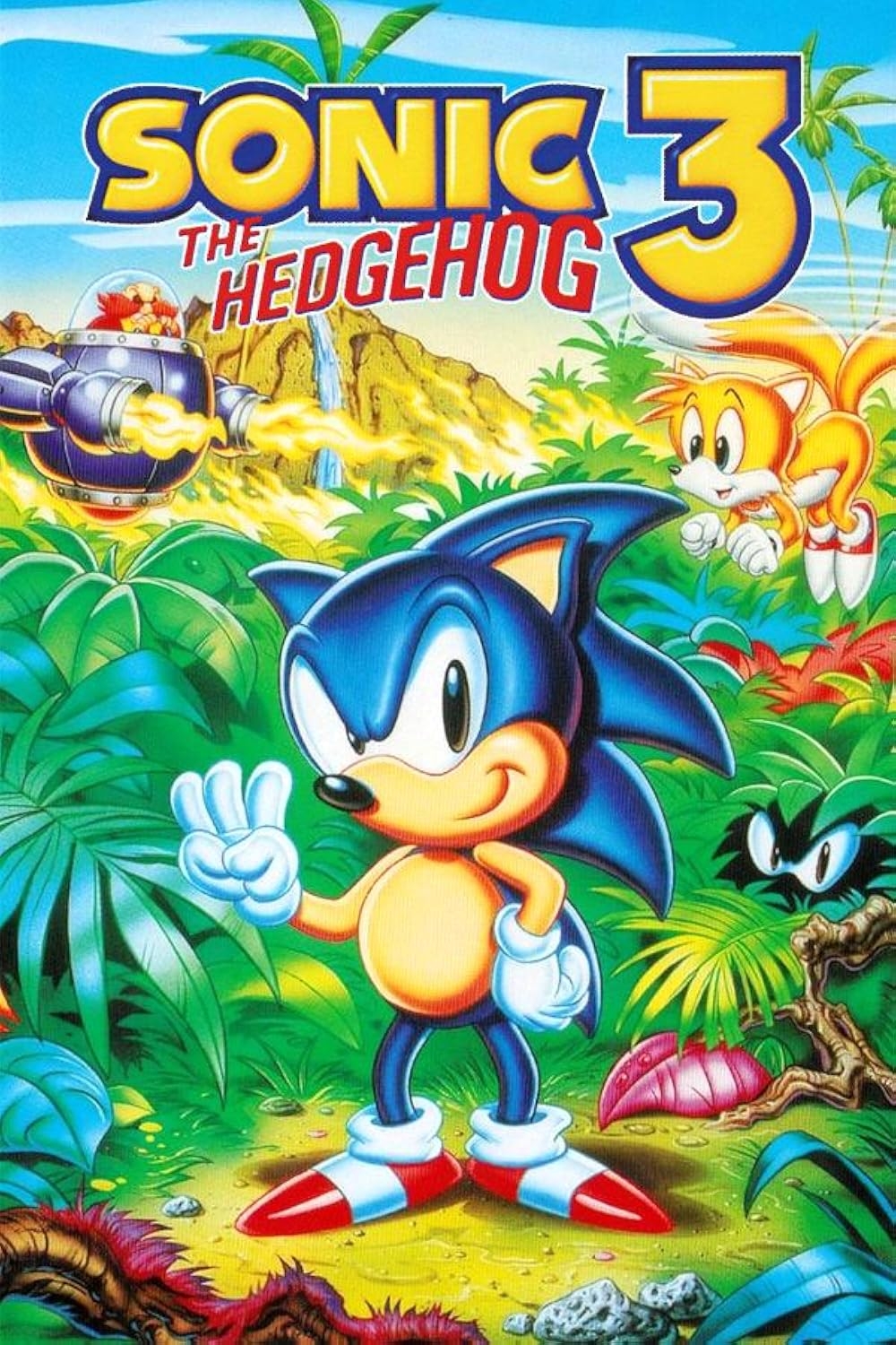 Sonic The Hedgehog 3 Video Game 1993 IMDb
