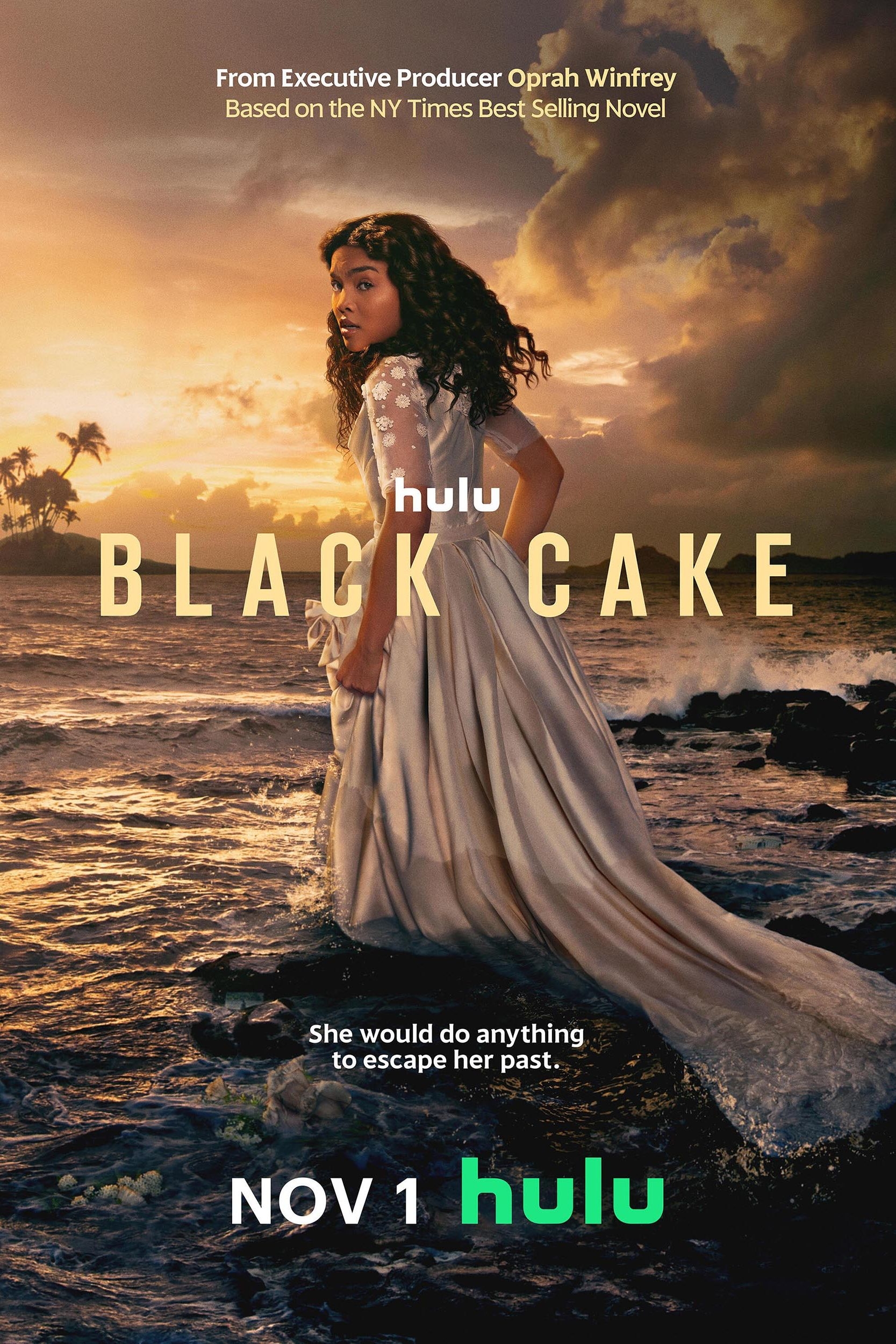 Why Black Cake Season 2 Isn t Happening The Hulu Series Cancelation Explained Why Black Cake Season 2 Isn t Happening The Hulu Series Cancelation Explained